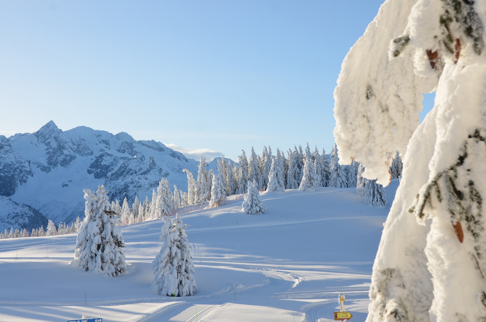 piste-ski-5-387